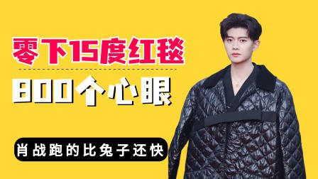 走零下15度红毯男星800个心眼？任嘉伦不漏手，肖战跑的比兔