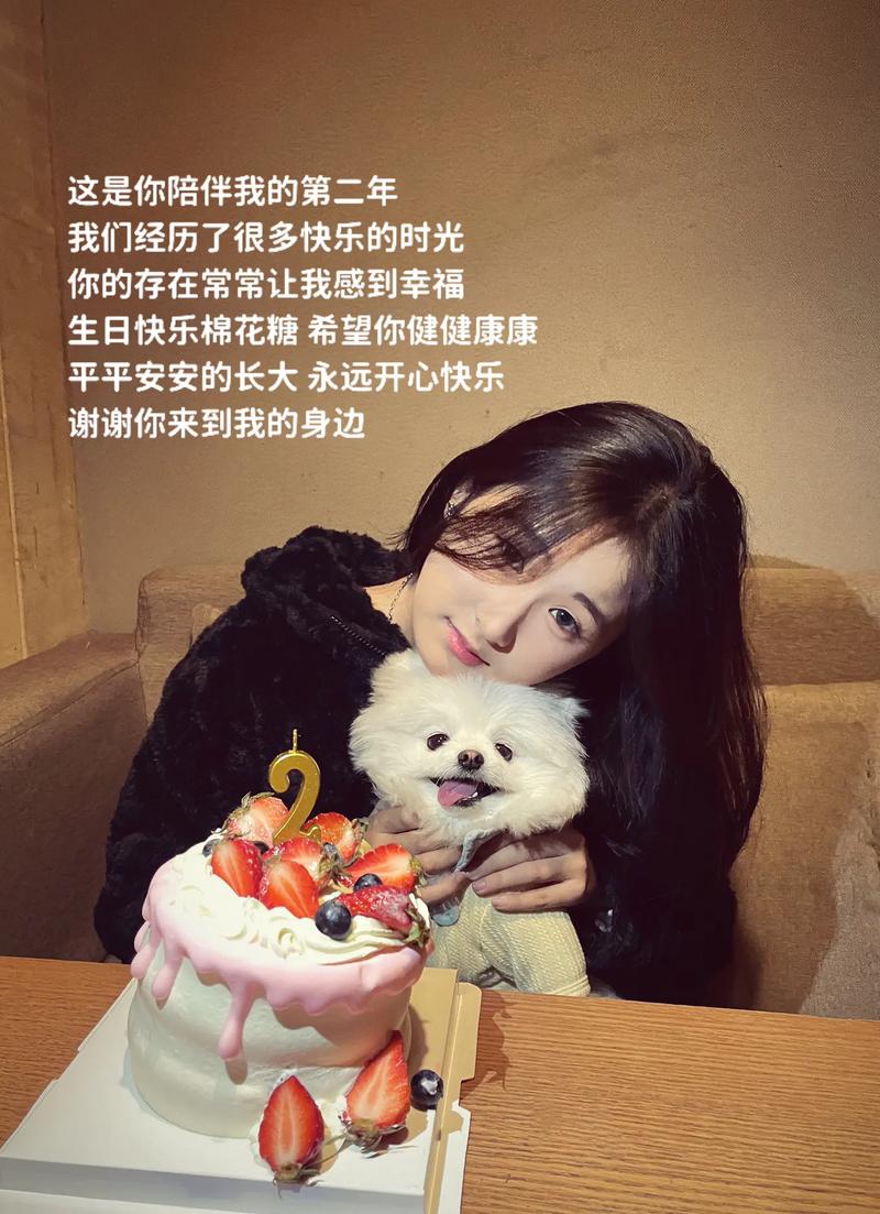 生忌快乐迅雷下载_快乐生活电视剧在线观看_生忌快乐在线观看