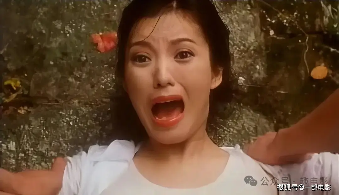 彭丹 经典作品 南山村之谜_彭丹 电影 孽欲追击档案之邪杀_彭丹邪杀在线观看