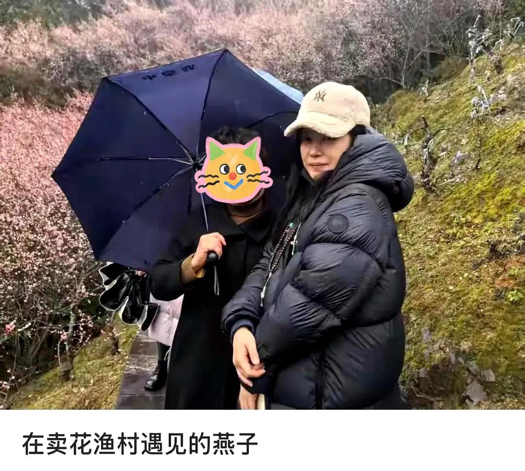 赵薇复出社交网络更新时间_赵薇现在还在娱乐圈吗_赵薇离婚声明时间线